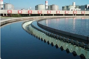 反硝化浮泥該如何預(yù)防？你知道嗎？