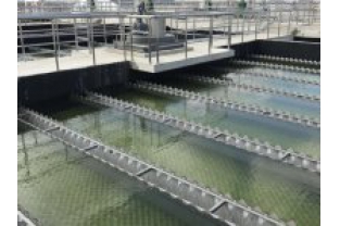 【干貨】有機物導致的氨氮超標?這種情況該如何處理呢？