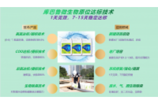 春節(jié)復(fù)工，生化系統(tǒng)快速修復(fù)，確保污水達(dá)標(biāo)排放