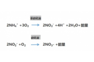 食品廢水氨氮超標(biāo)，你可以這么做