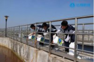 碳氮比失調(diào)，總氮超標怎么辦