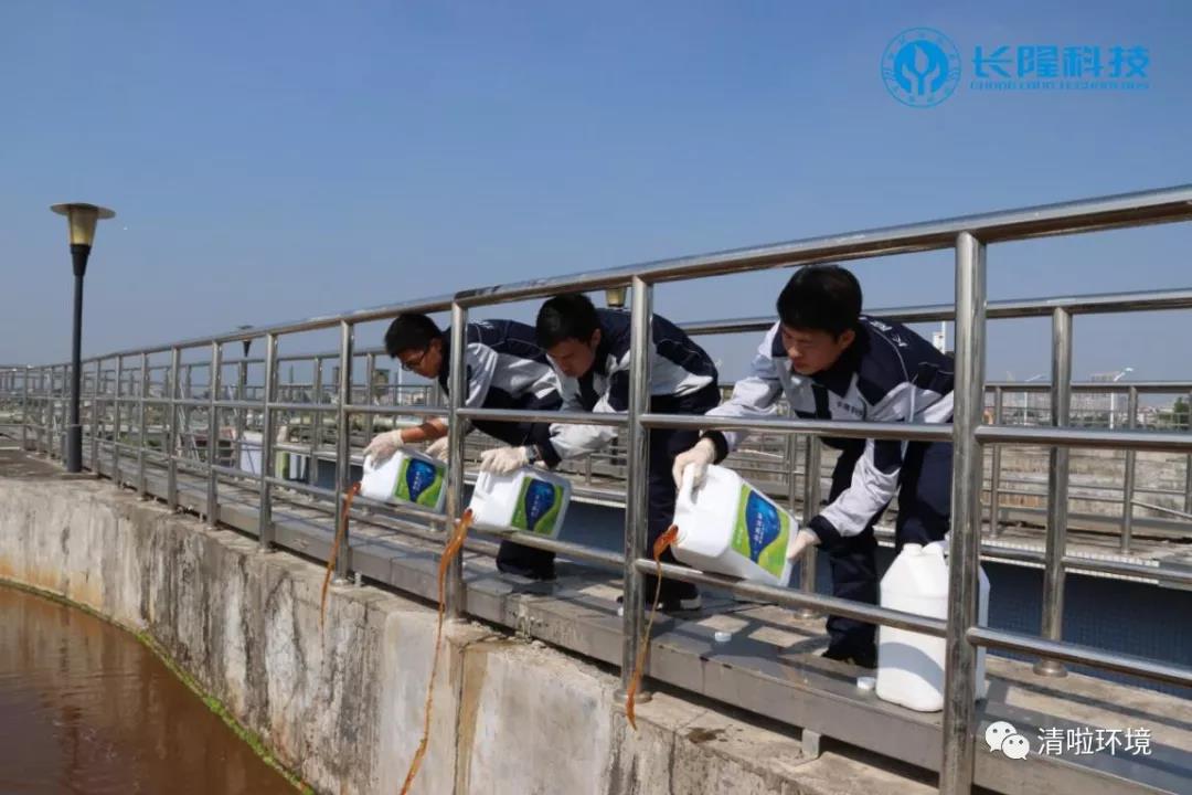 碳氮比失調，總氮超標怎么辦